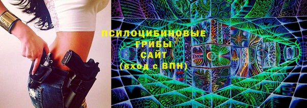 гашик Саяногорск