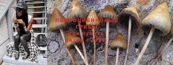 гашик Саяногорск