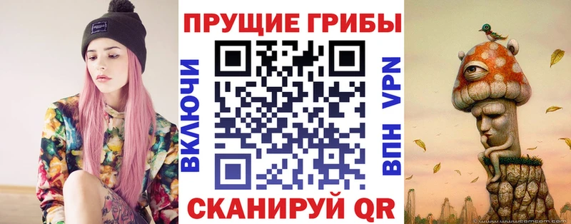хочу   Карабаново  Галлюциногенные грибы GOLDEN TEACHER 